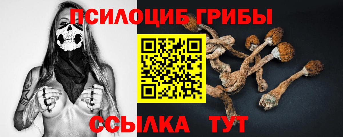 Рославль  Псилоцибиновые грибы GOLDEN TEACHER  Галлюциногенные грибы Psilocybe  Вход с VPN 
